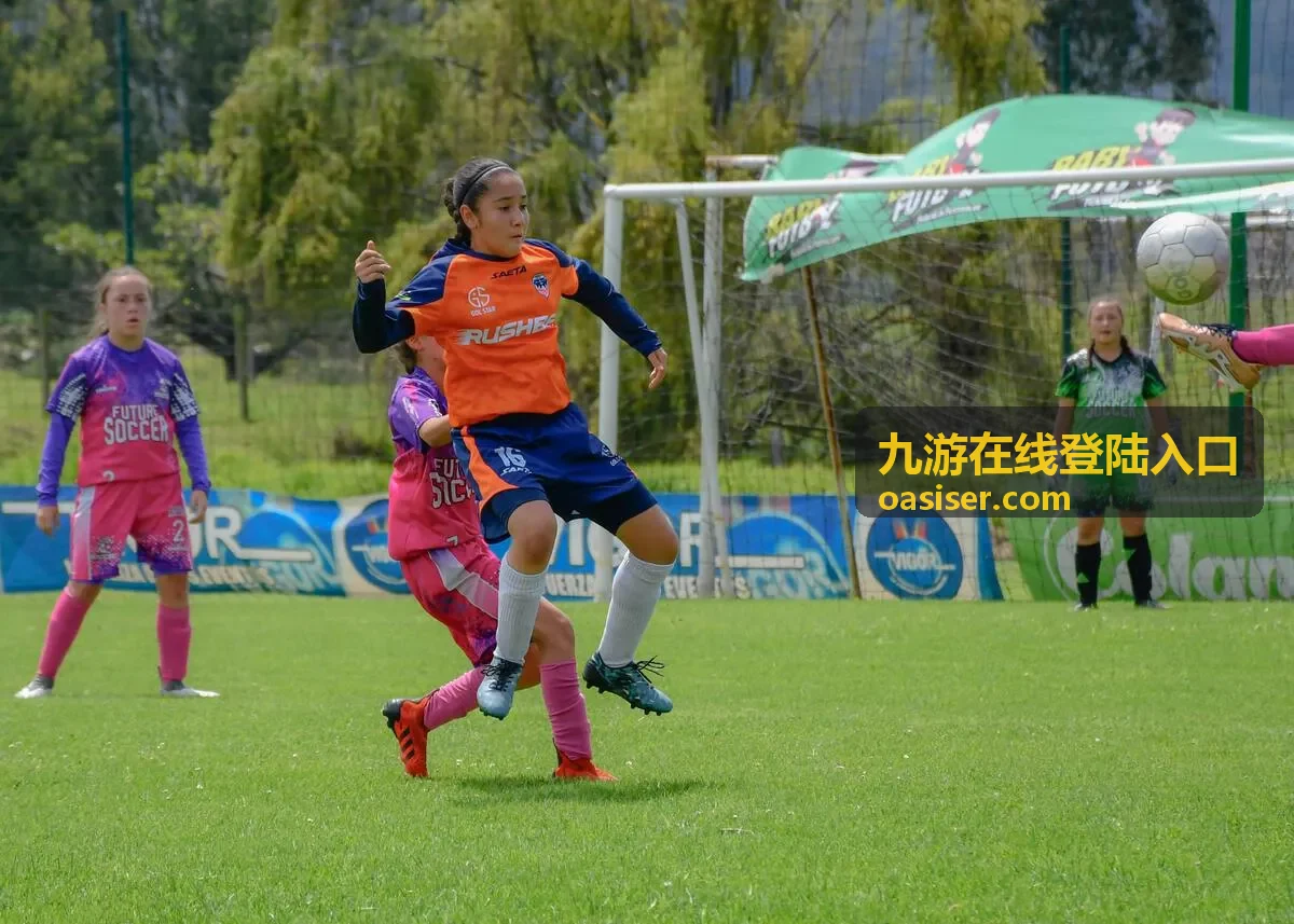 九游在线登陆入口密码设置与更换示意