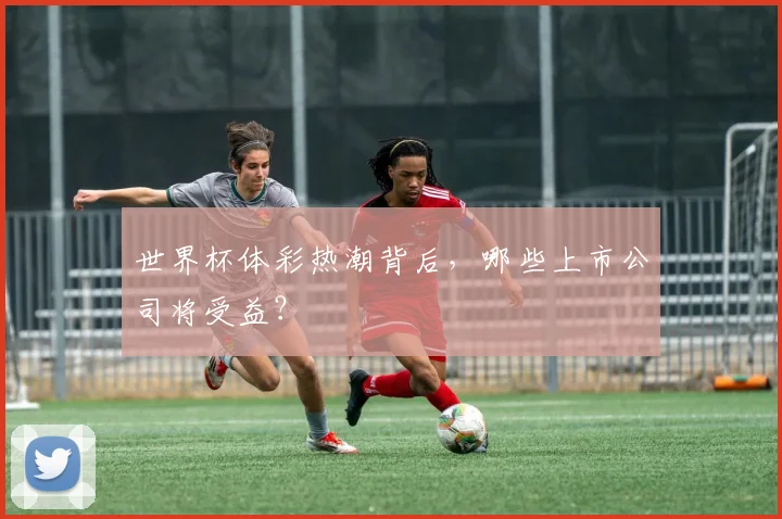 世界杯体彩热潮背后，哪些上市公司将受益？