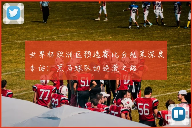 世界杯欧洲区预选赛比分结果深度专访：黑马球队的逆袭之路